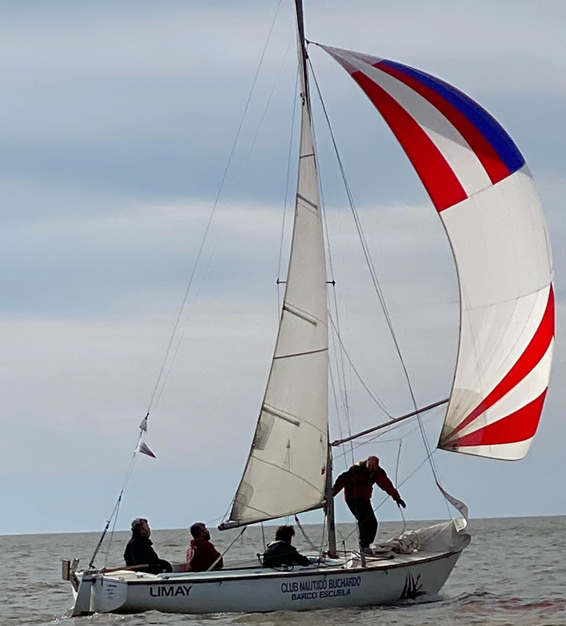 curso timonel laser optimist patron